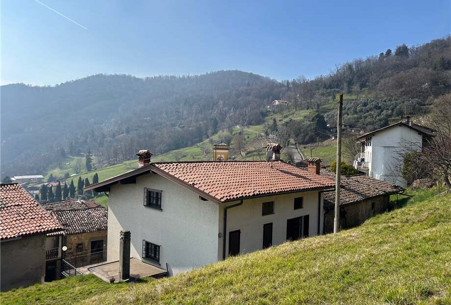 Immagine video